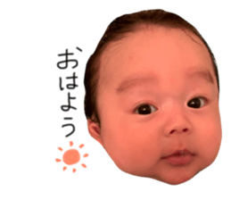 156782878