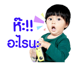 156808004