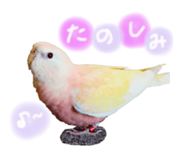 156814282