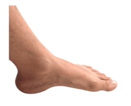 15683098