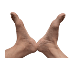 15683099