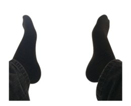 15683112