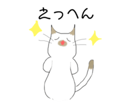 156854386