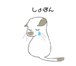 156854396