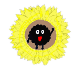 156855668
