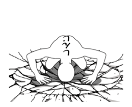 156855776