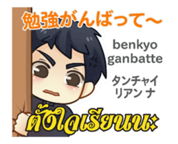 15686165