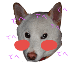 156873937