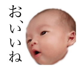 156878311