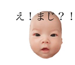 156878312