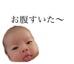 156878327