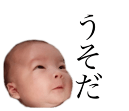 156878330