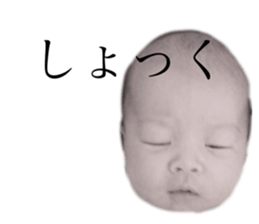 156878331