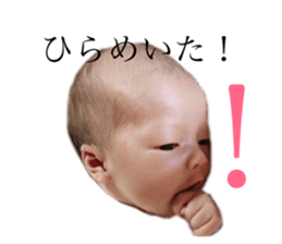 156878333