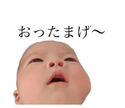 156878438