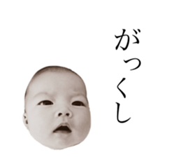 156878443