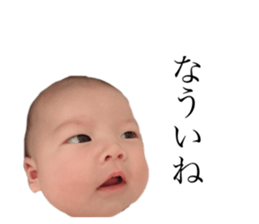 156878445