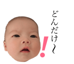 156878446