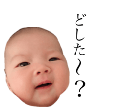 156878447
