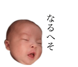 156878454