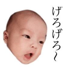 156878455