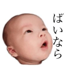156878456