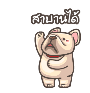 พิกุ - เฟรนช์ บูลด็อก 7 รูปที่ 9