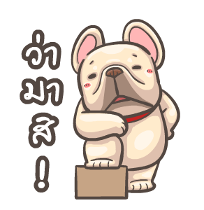 พิกุ - เฟรนช์ บูลด็อก 7 รูปที่ 10