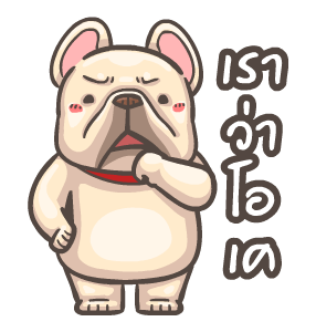 พิกุ - เฟรนช์ บูลด็อก 7 รูปที่ 11