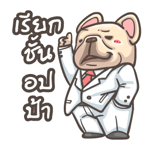 พิกุ - เฟรนช์ บูลด็อก 7 รูปที่ 13