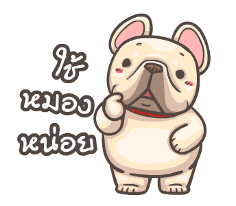 พิกุ - เฟรนช์ บูลด็อก 7 รูปที่ 16