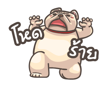 พิกุ - เฟรนช์ บูลด็อก 7 รูปที่ 17