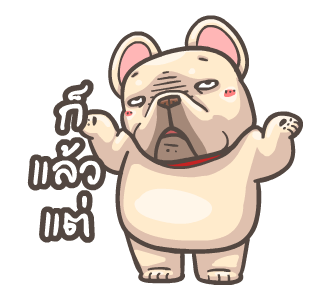 พิกุ - เฟรนช์ บูลด็อก 7 รูปที่ 18