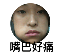 156937012