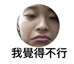 156937026