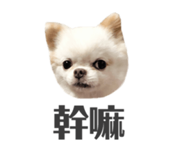 156952965