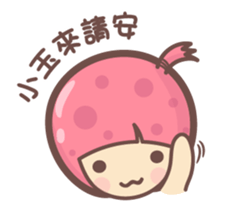 156955856