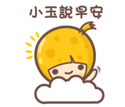 156955858