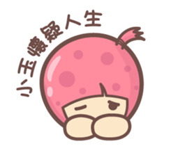 156955875