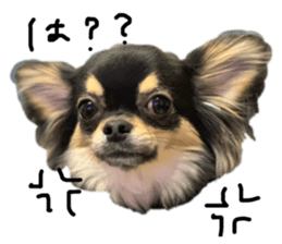 156965119