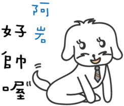 156986564