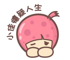 156992243