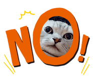 157020957