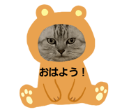 157020959