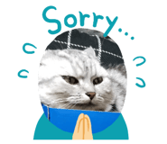 157020961