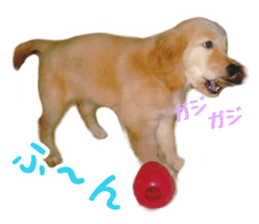 157047436