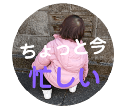 157049550