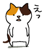 157067060