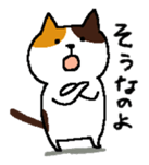 157067067