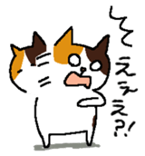 157067068